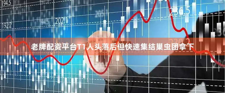 老牌配资平台T1人头落后但快速集结巢虫团拿下