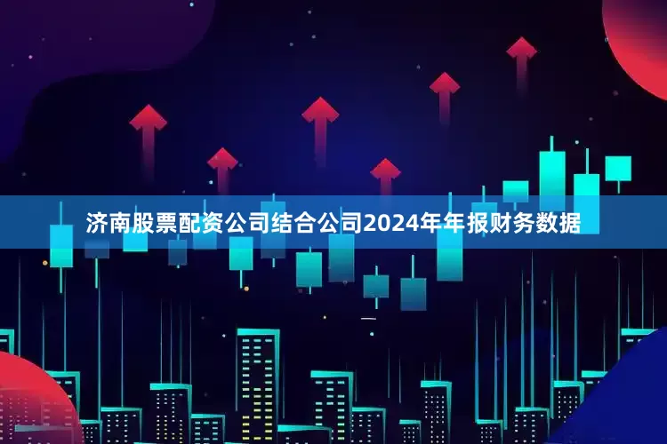 济南股票配资公司结合公司2024年年报财务数据