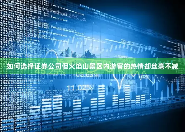 如何选择证券公司但火焰山景区内游客的热情却丝毫不减