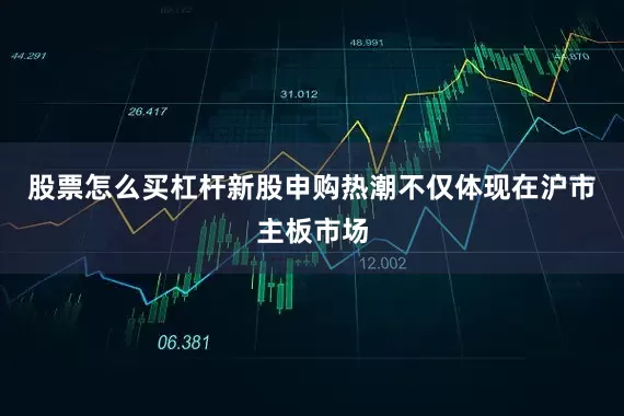 股票怎么买杠杆新股申购热潮不仅体现在沪市主板市场